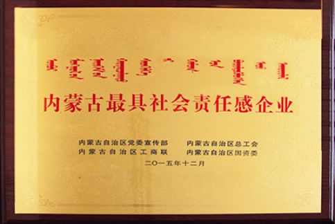 內蒙古最具社會責任感企業